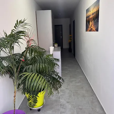 La Playa - Pe Plaja Cu Sezlong Gratuit